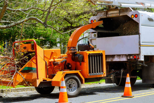 Best Commercial Tree Services  in Heber, CA